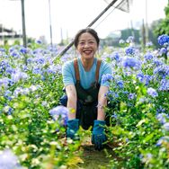 箐禾花园农场抖音达人头像