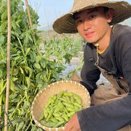 小李在菜园抖音达人头像