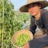 小李在菜园抖音达人头像