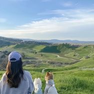 钱景无限抖音号头像