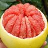 平和琯溪蜜柚真好吃—甜允抖音号头像
