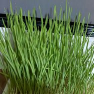 用ཨོཾ嵇䮸㦴抖音号头像