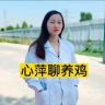 心萍聊养鸡抖音达人头像