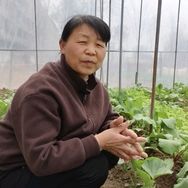 周姐爱种菜抖音达人头像