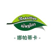 Napattiga娜帕蒂卡官方旗舰店抖音号头像