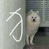 蕉太狼爱睡懒觉-抖音达人头像