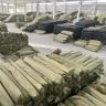 禾升丝网抖音达人头像
