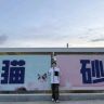 小峰猫砂（猫砂厂家）抖音达人头像