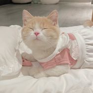 奶油桃桃子🍑抖音达人头像