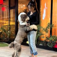 领航犬业（不贵的巨贵）抖音达人头像