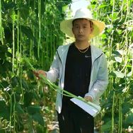 瑞丰园艺抖音达人头像
