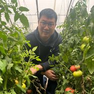 萃盛何伟聊蔬菜抖音达人头像