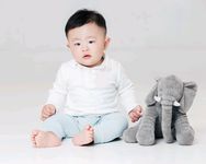 多肉小盆友抖音达人头像