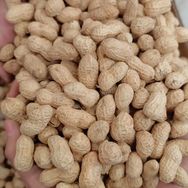 喜丰收农资企业店抖音号头像