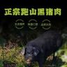 康康生鲜抖音达人头像