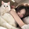 小米糕🐑抖音达人头像