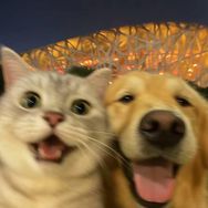 小猫不眨眼｜拜达尔春日焕新季抖音号头像