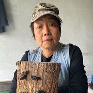 闫老太家山木耳抖音达人头像