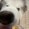恩比不是笨笨抖音达人头像