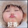 海岛陈姐抖音达人头像