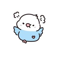 鹦林萌主🦜抖音达人头像