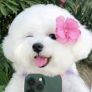 南风加糖抖音达人头像