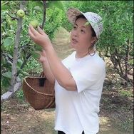 爱做饭的王大妈抖音达人头像