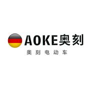 雷斯威驰电动车旗舰店抖音达人头像