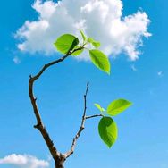 俊然商贸抖音号头像