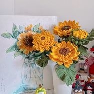 织愿向阳抖音达人头像