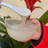 九华山园园土特产抖音号头像