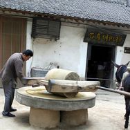 椒御厨(纯正白胡椒粉)抖音号头像