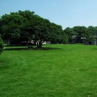 聚盼园艺旗舰店抖音号头像