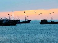 鲜鲜海鲜抖音号头像