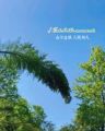 义乌市硚序电子商务商行抖音号头像