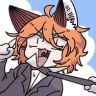 岱岱的猫抖音达人头像