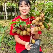 轩轩苗圃抖音达人头像