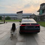 丫丫的帕萨特pro抖音达人头像