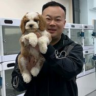 北京宏哥可卡布犬舍抖音达人头像