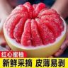 红心柚原产地批发抖音达人头像