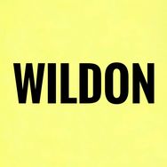 WILDON抖音达人头像