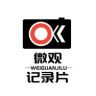 微观纪录片抖音达人头像
