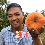 桃哥抖音达人头像