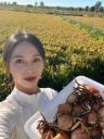 小花的小小铺抖音达人头像