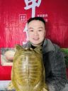 洋洋甲鱼抖音达人头像
