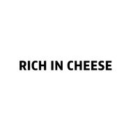 RICH IN CHEESE 私服定制抖音达人头像