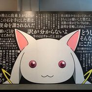 日本狸猫田中裕之抖音达人头像