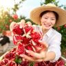 园姐家（会理软籽石榴）抖音达人头像