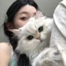 好运姜汁抖音达人头像