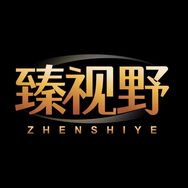 臻视野汽车用品旗舰店抖音达人头像